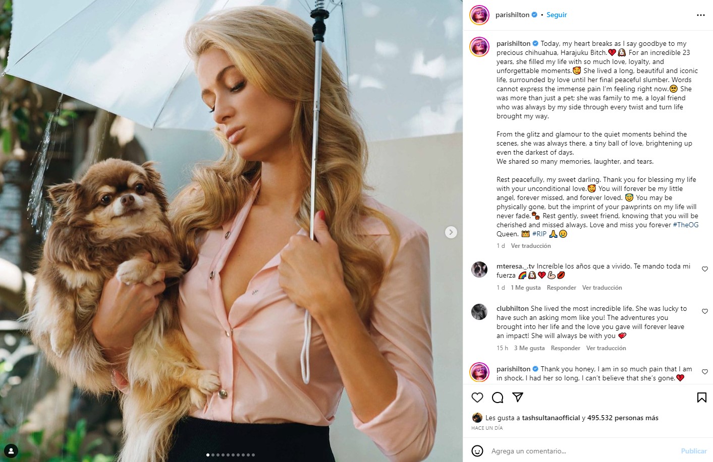 Fallece la perrita chihuahua de Paris Hilton