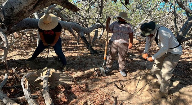 Descubren colectivos de búsqueda fosas clandestinas: La Paz