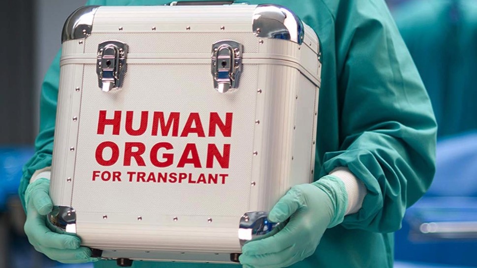 United Kingdom: Organ trafficking disguised as a job offer IFOTO: Web