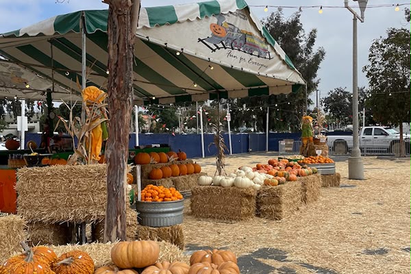 Prepárate: los Pumpkin Patches están por llegar a San Diego