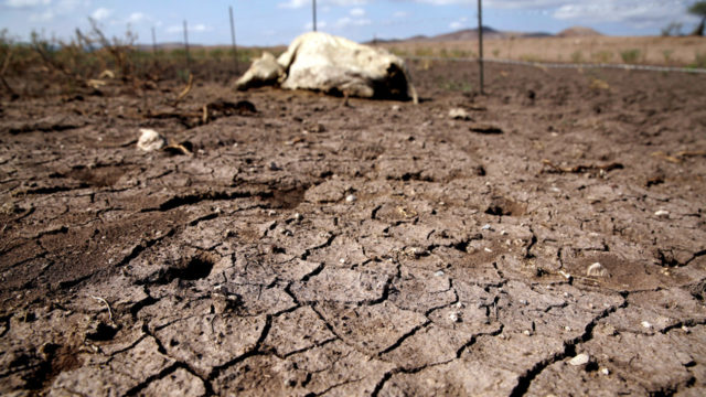 Cambio climático traerá en próximos años sequías intensas y largas al norte de México