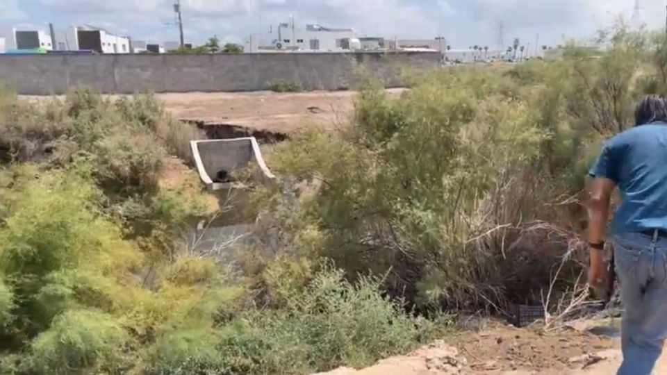 [VIDEO] Avistan Dragón de Komodo en Mexicali