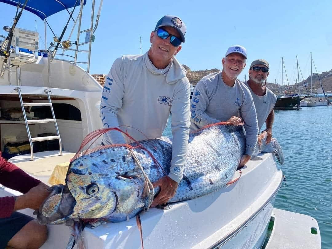 "El misterioso regreso del pez remo gigante: Una sorprendente aparición en Los Cabos