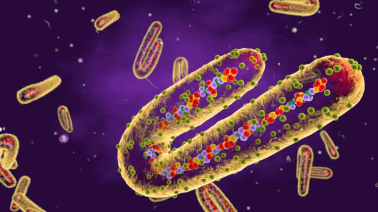 El virus de Mamburgo fue detectado por primera vez en Alemania en 1967 Fuente: Getty Images