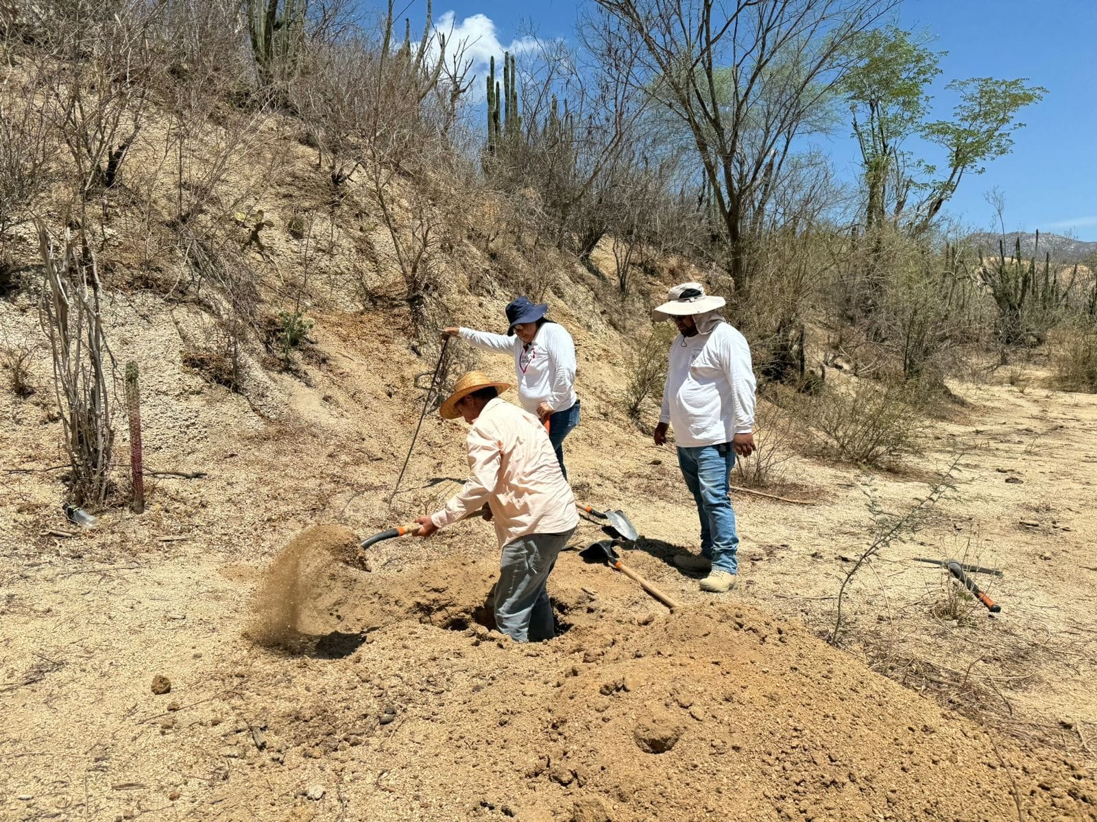 Encuentran fosa clandestina con ocho osamentas: Los Cabos