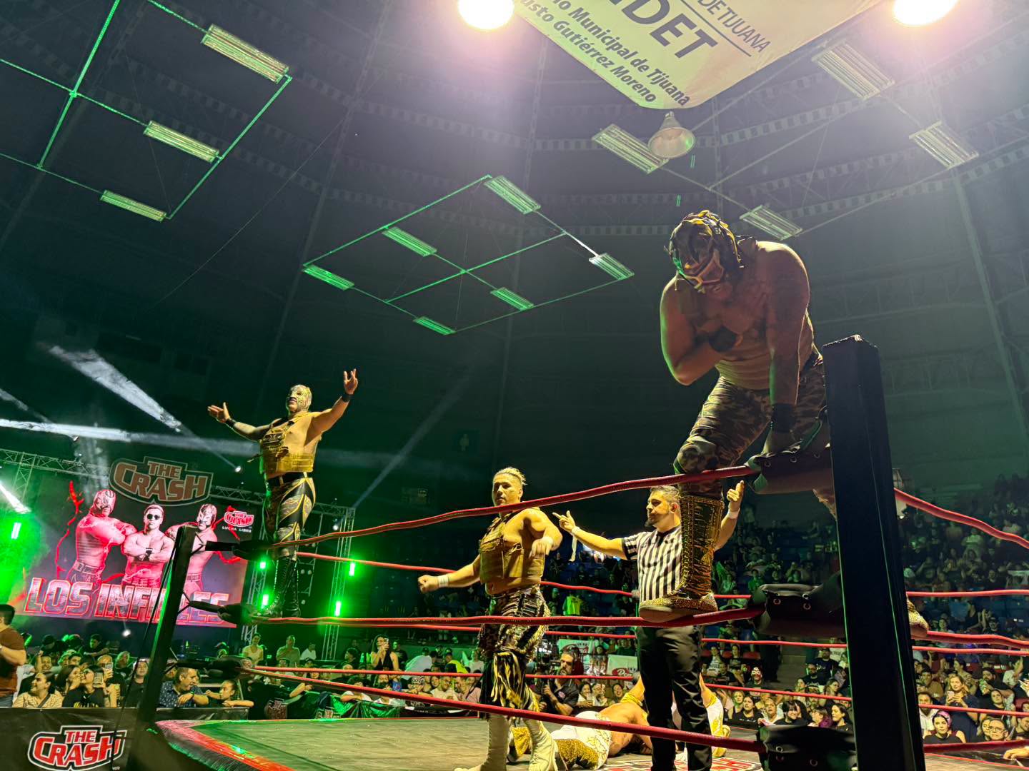Hijo de Rey Misterio y Extreme Tiger dejan pendiente la guerra en The Crash