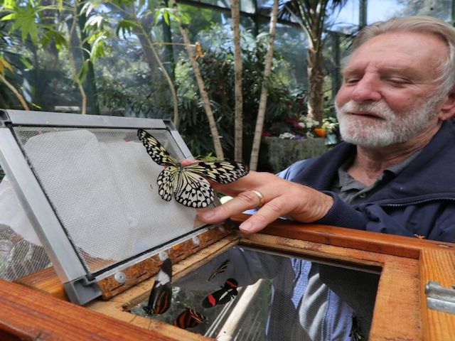 El San Diego Zoo a la  la exhibición de mariposas. I FOTO: WEB