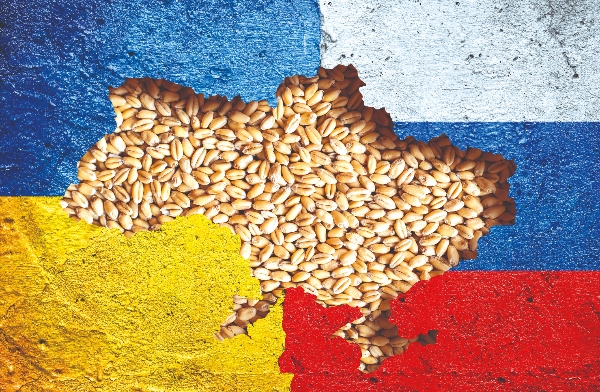Russia suspends grain exports through Ukraine