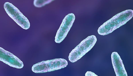 Detectan brote de Klebsiella oxytoca multidrogo resistente en el Estado de México; 13 menores fallecen