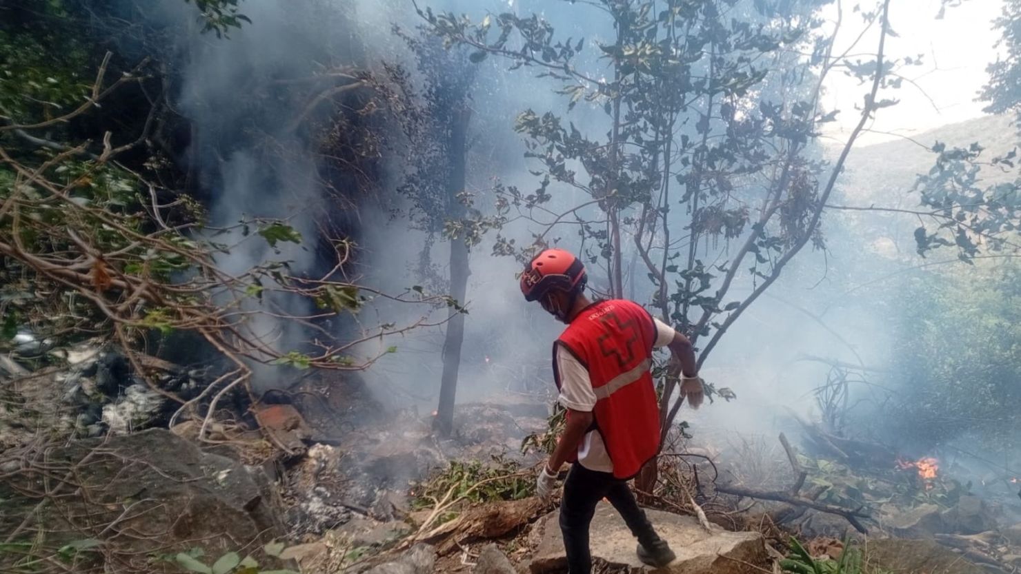 Mueren jefe de Inteligencia de Ecuador y su esposa en accidente aéreo