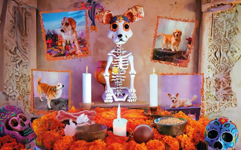27 de Octubre: El Día de los Muertos para mascotas