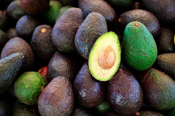 Productores de aguacate piden a EU reactivar exportaciones tras suspensión por seguridad