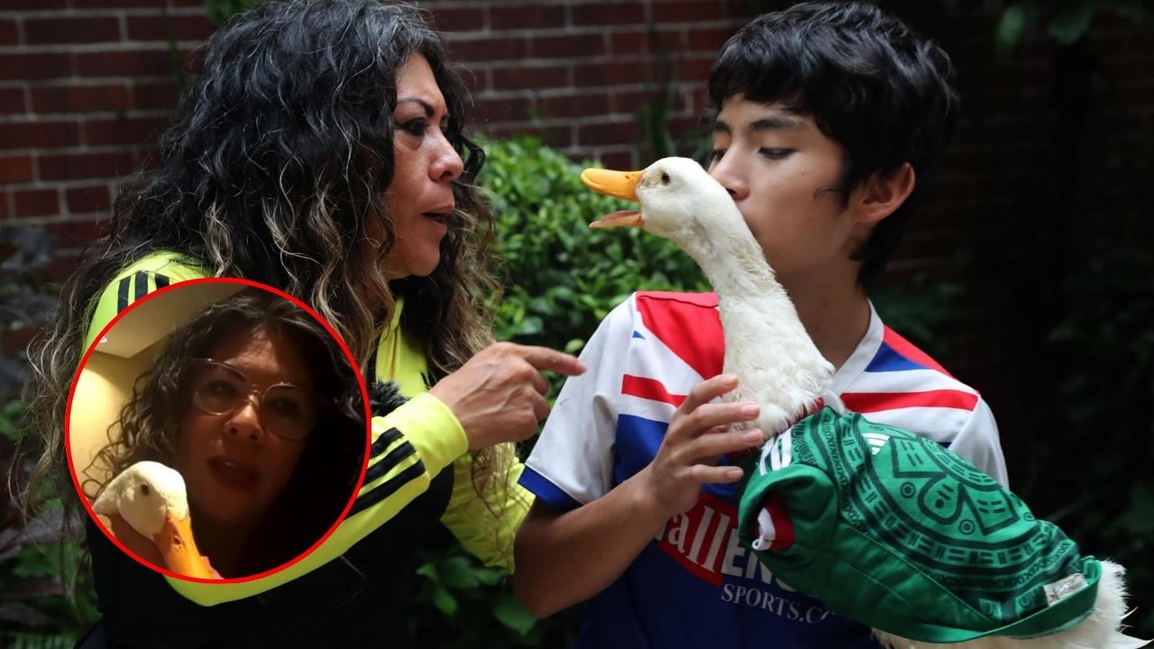 Tras vivir en un local, familia del Pato Merlín ya tiene un hogar