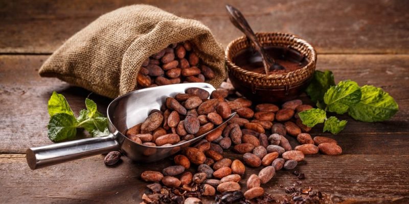 Alcanza precio del cacao niveles récord