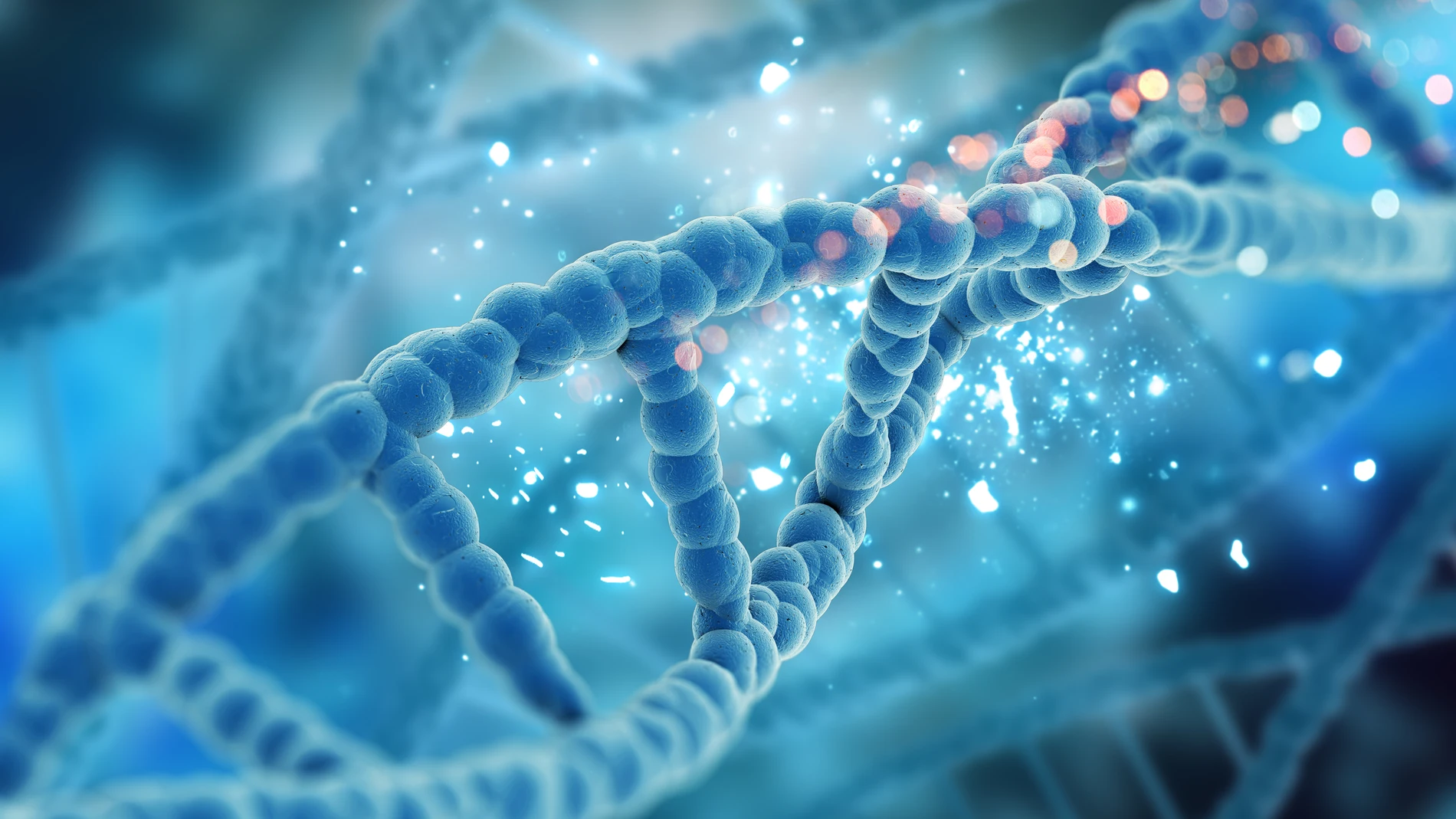 Descubriendo los misterios del ADN
