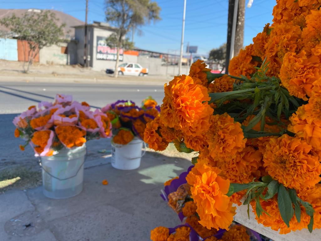 Calles de Tijuana comienzan a teñirse de naranja