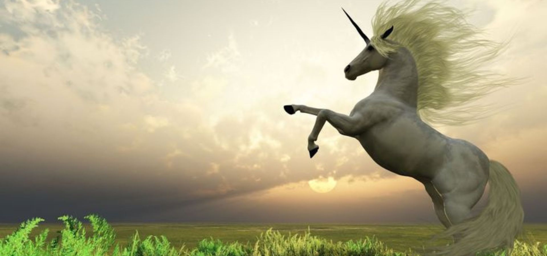 Orígenes místicos: ¿De dónde viene la historia de los unicornios?