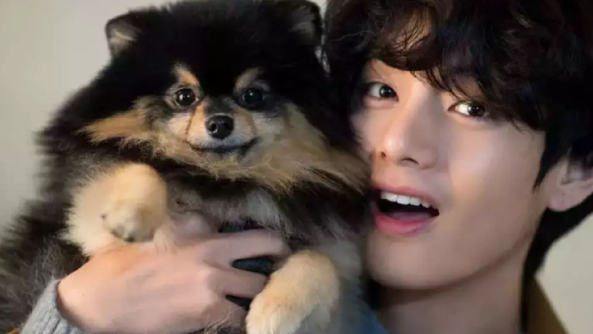 Muere Yeontan, mascota del cantante V de BTS