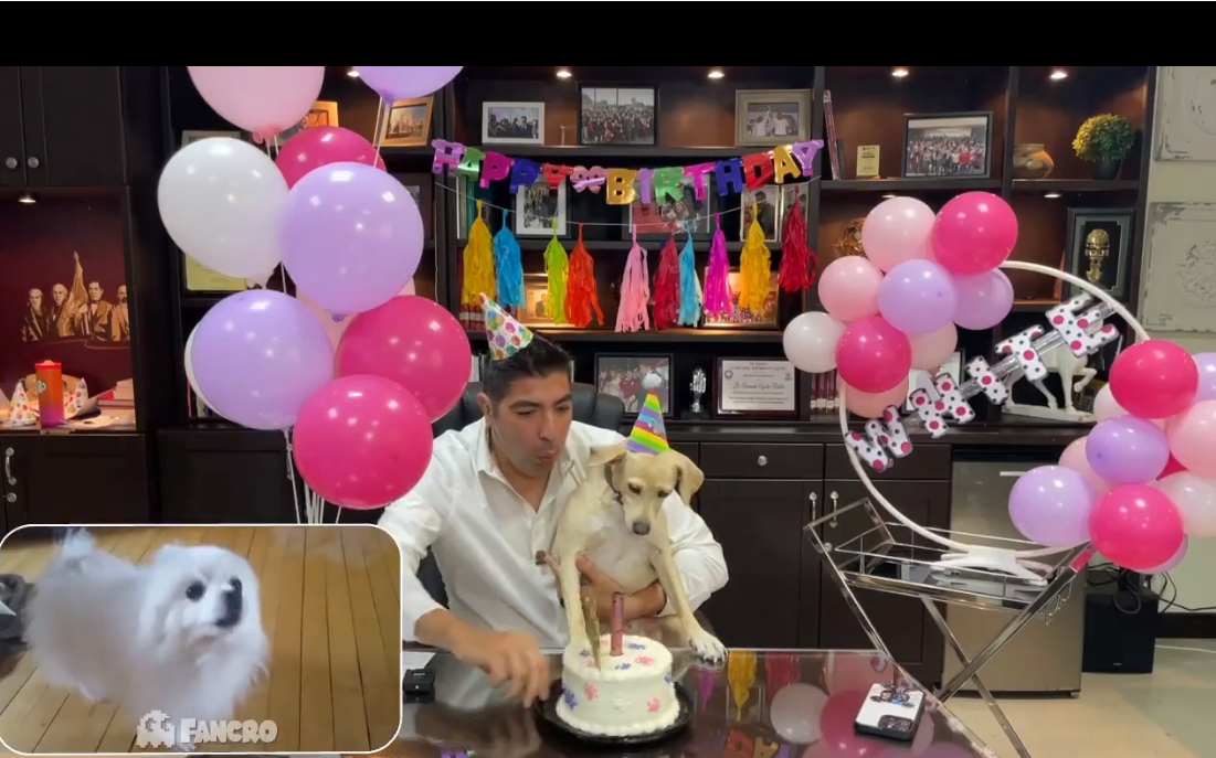 Ensenada: Ayala y sus mascotas celebran cumpleaños en oficina municipal