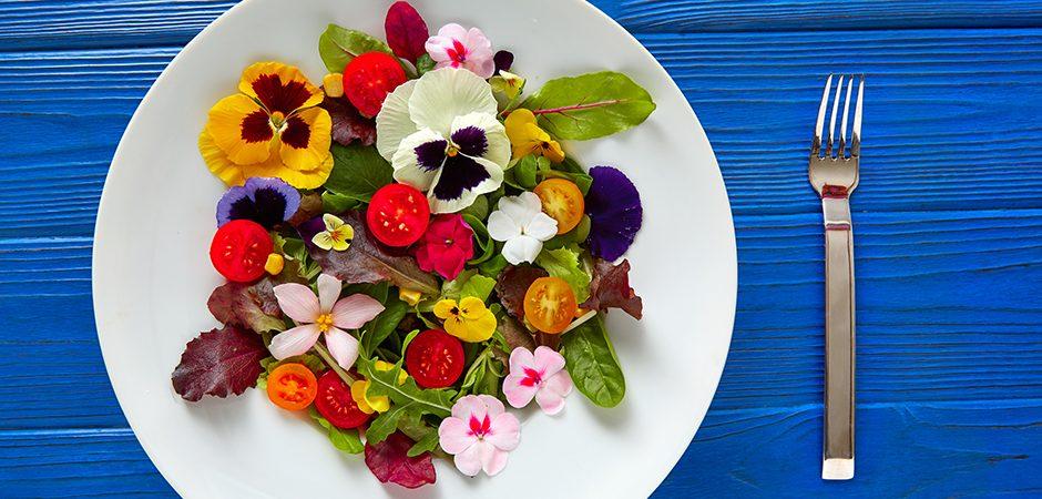 Flores comestibles: Variedades y usos en la gastronomía