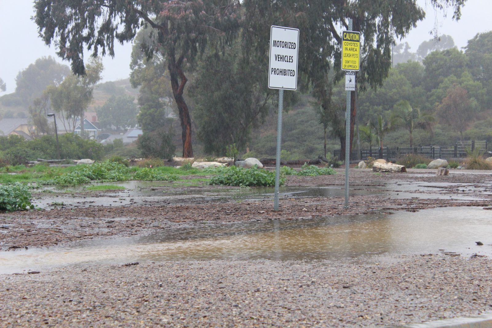 San Diego cuenta con bastante agua tras lluvias y nevadas