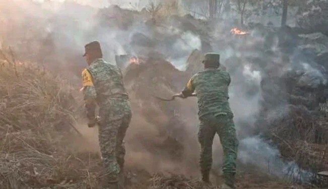 Deja incendio forestal 4 personas muertas: EdoMex