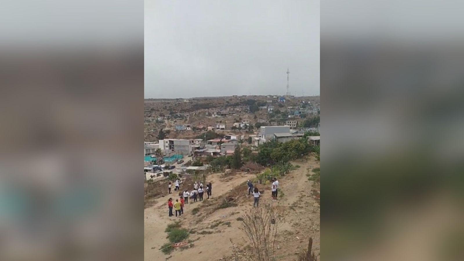 Colectivos de búsqueda siembran 100 árboles en conmemoración a los desaparecidos