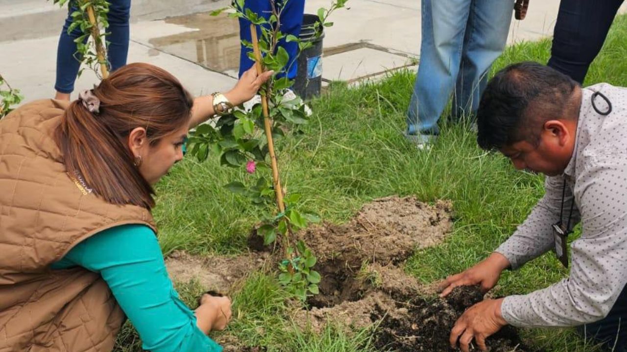 Capacitan a comisarios comunitarios de Tijuana en agricultura urbana y manejo de residuos