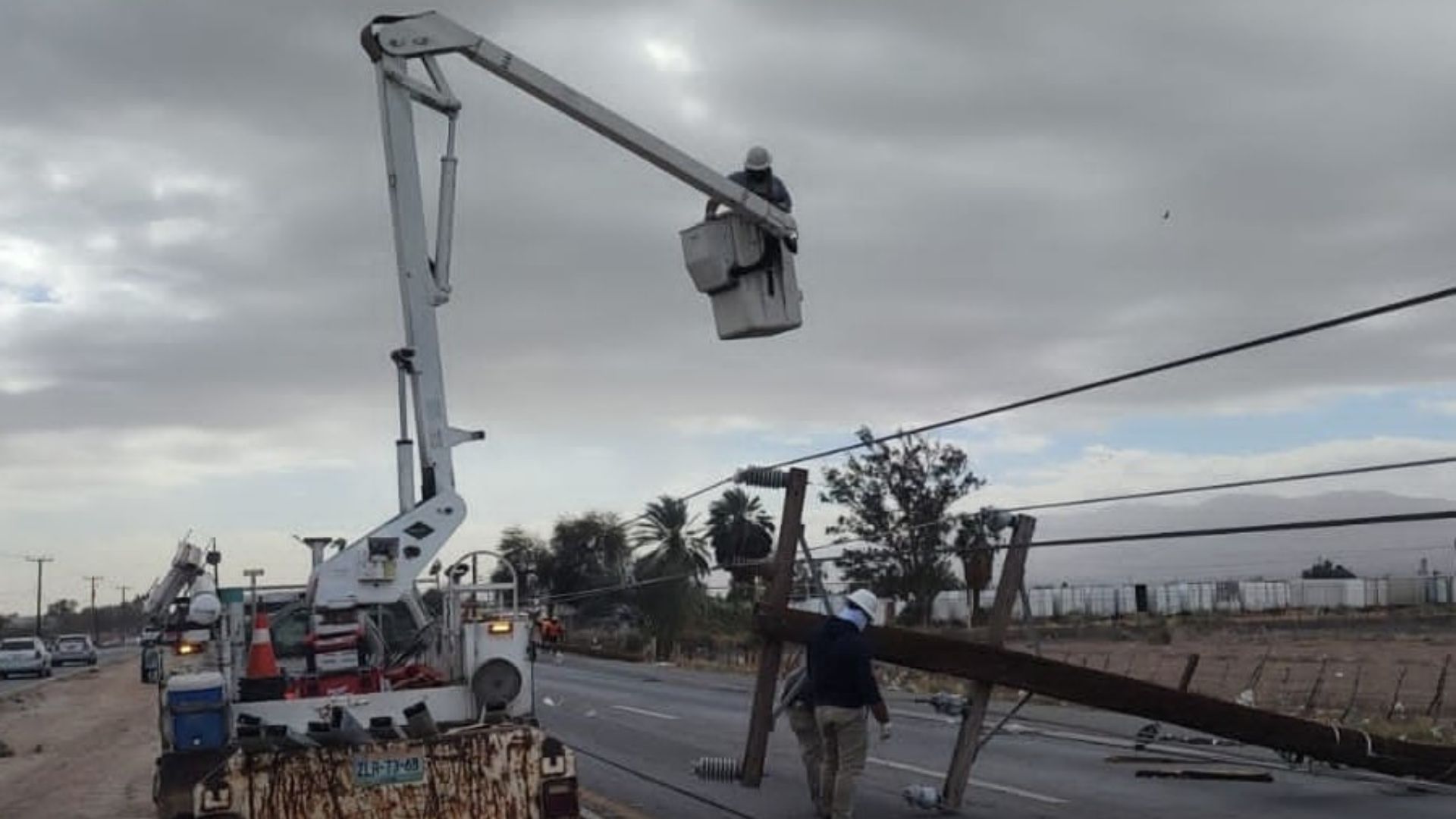 Reestablece CFE servicios de electricidad tras fuertes vientos: Mexicali