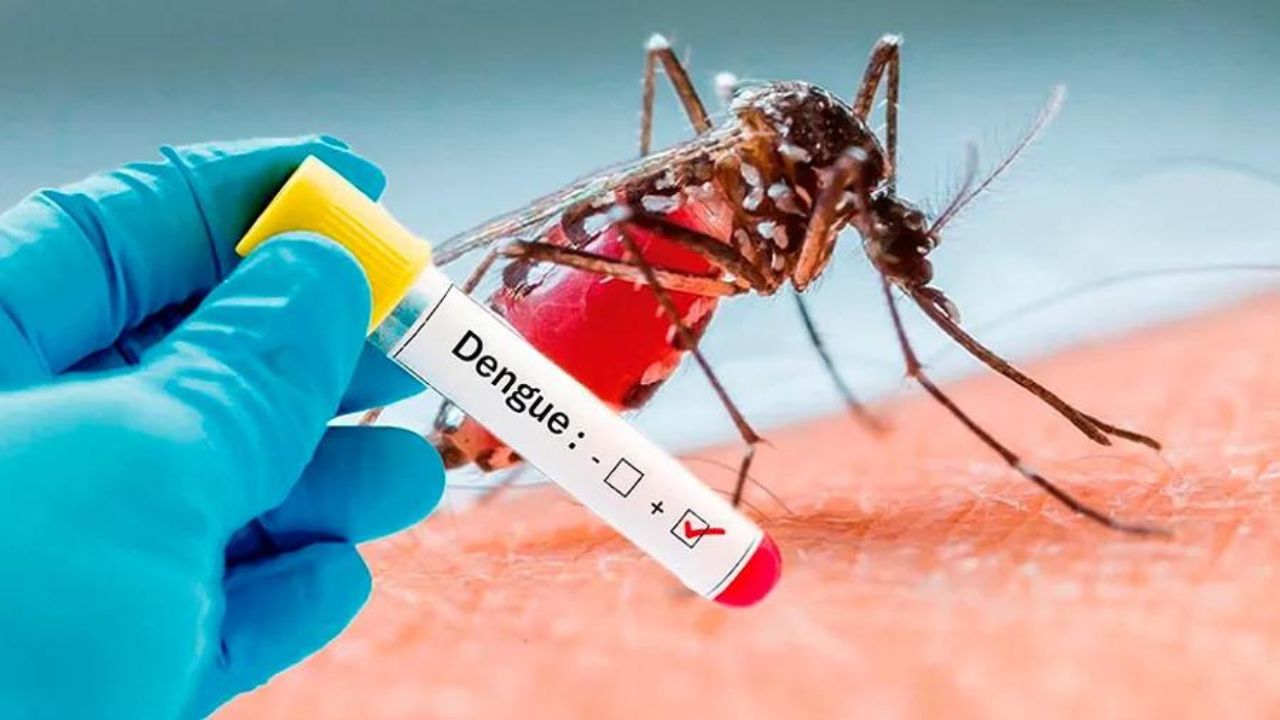 Muere menor de edad por dengue hemorrágico: BCS