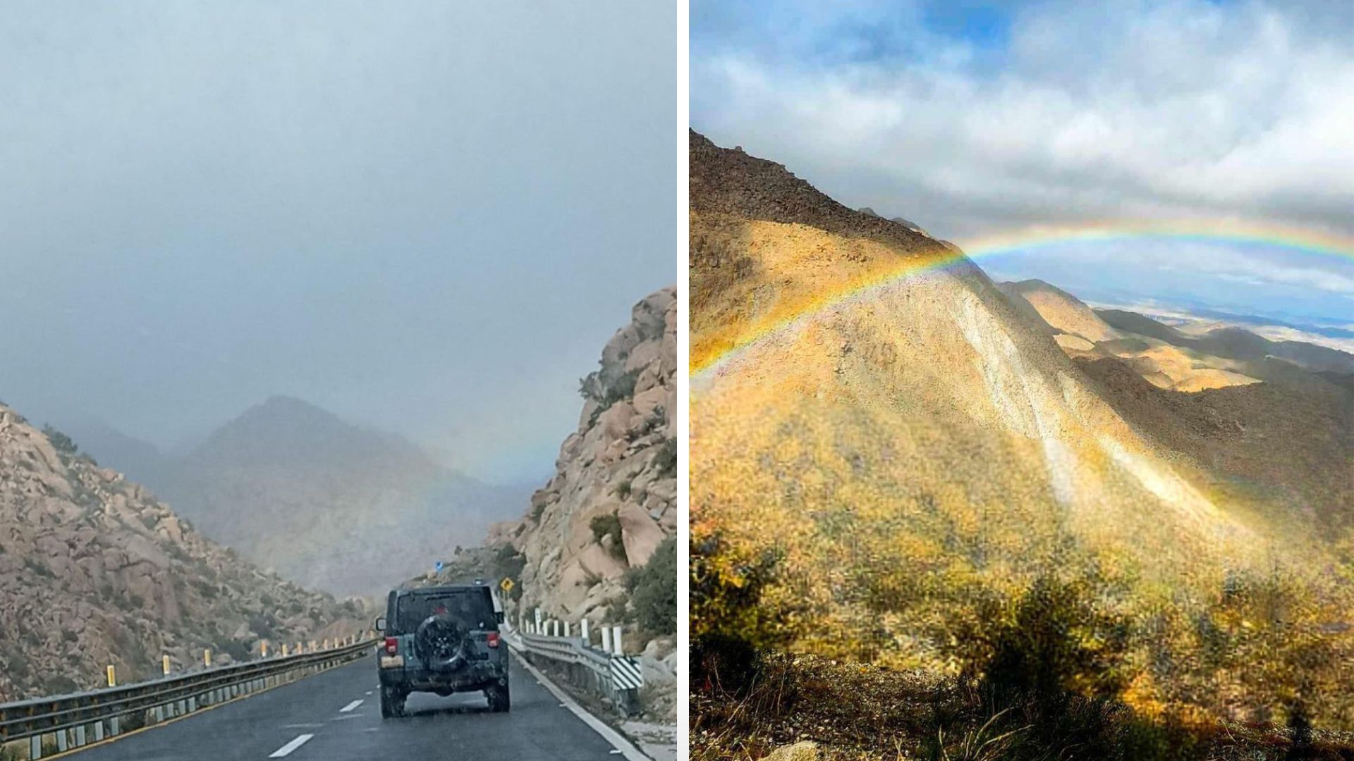 Reporta FIARUM lluvia y neblina en La Rumorosa