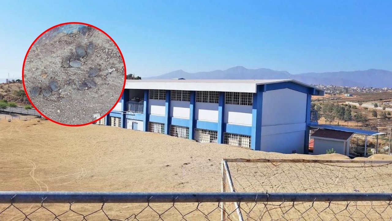 ENSENADA: Regresan a primaria infestada de garrapatas en El Roble
