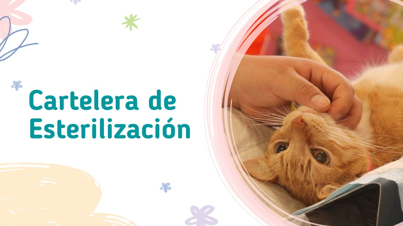 Cartelera de Esterilización