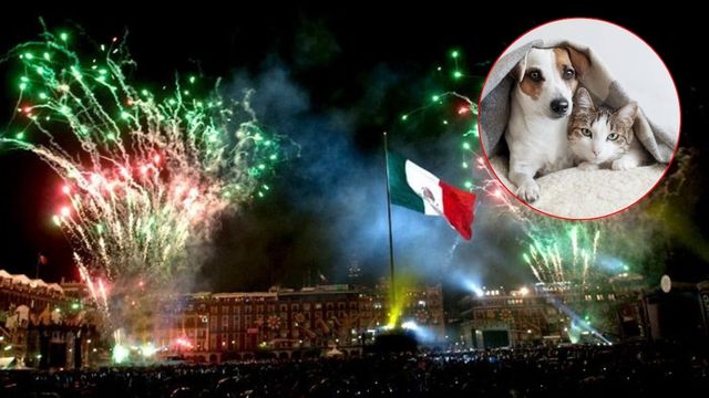 Foto: Baja News