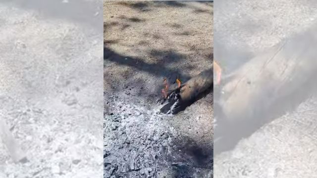 ENSENADA: Encuentran fogata encendida en zona arbolada de la Sierra de Juárez