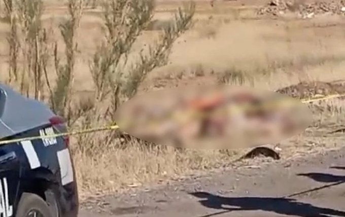 [CONTENIDO SENSIBLE] Encuentran 7 cuerpos en la carretera Juárez-Chihuahua