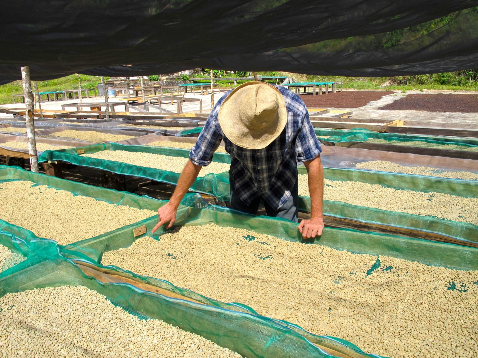 El café en México está ligado a la cultura, no sólo es una industria