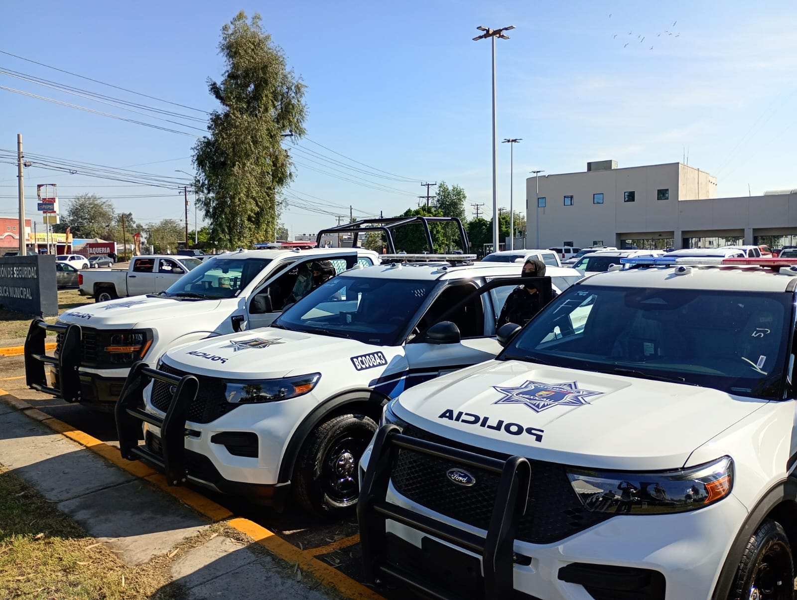 MEXICALI: DSPM, lista para rendir cuentas ante Cabildo