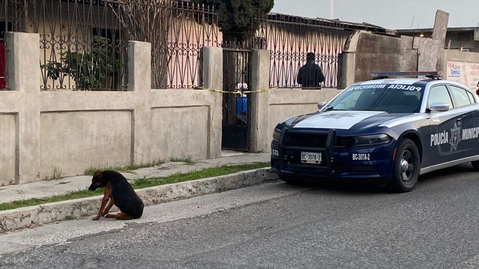 Fueron encontrados dos hombres sin vida al interior de un domicilio. I FOTO: WEB