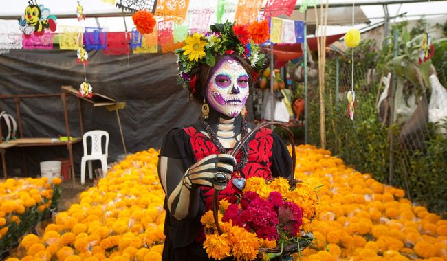 Flor de cempasúchil a la alza