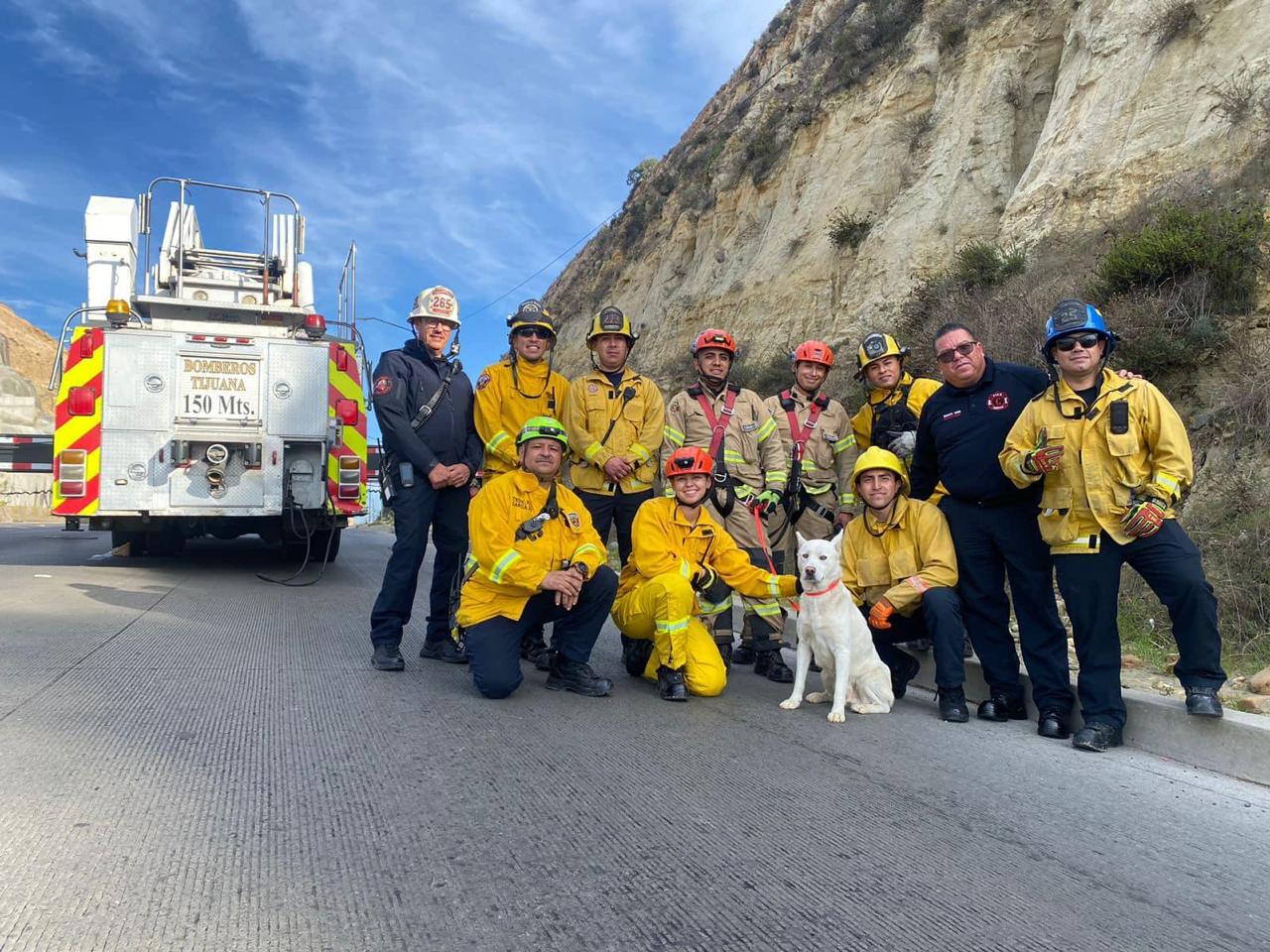Rescatan bomberos a perro en mañana de Navidad