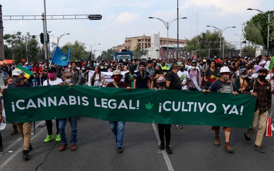 Marcharán por la liberación de la Mariguana: Tijuana