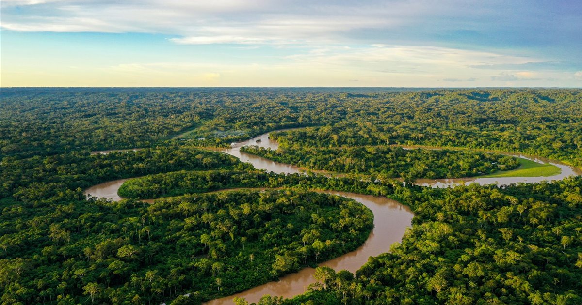 ¿Cuál es el bosque tropical más grande del mundo?