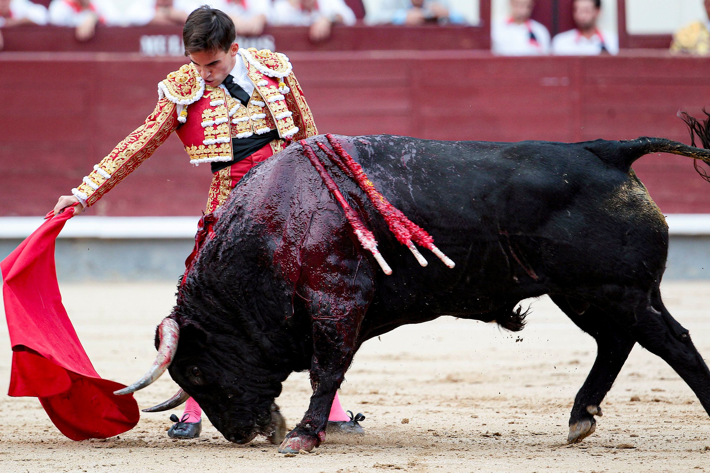 Suspenden corridas de toros para el 2 de julio: Tijuana