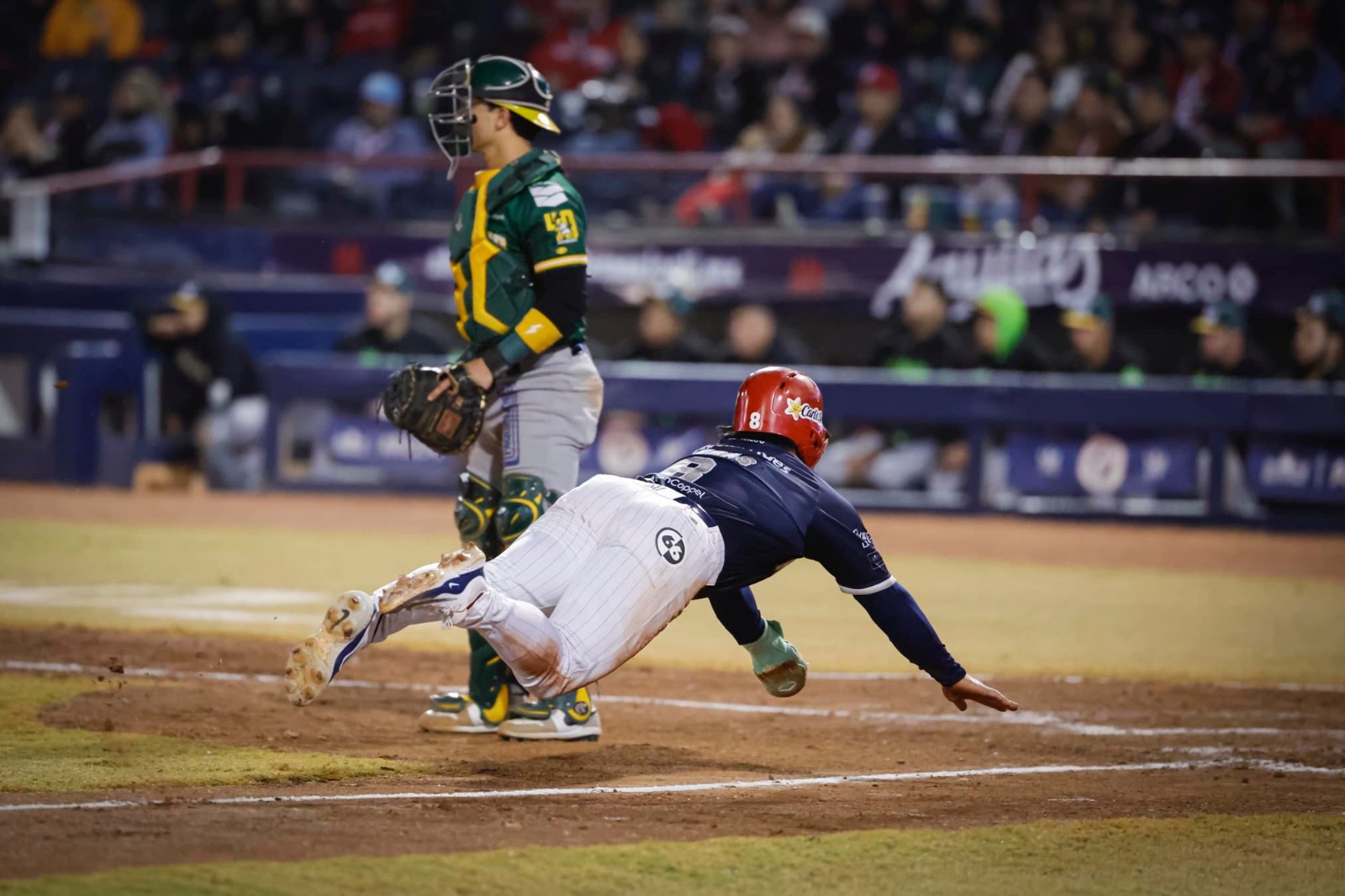 Termina la 1ra. Vuelta de la LMP ¿En qué lugar quedaron los Águilas de Mexicali?