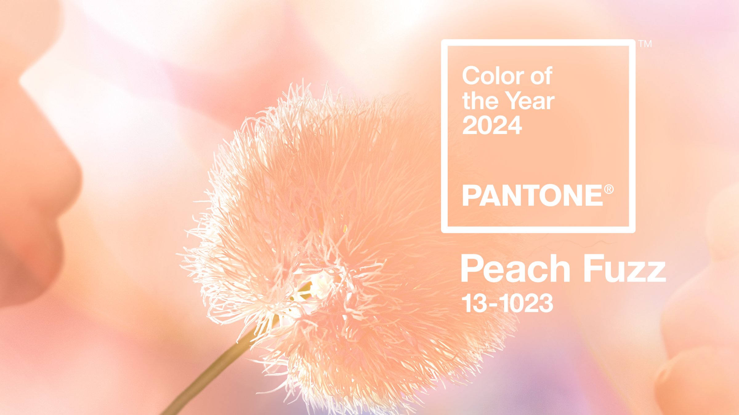 Descubre cuál será el color en tendencia del 2024