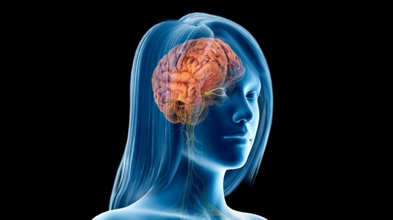 ¿Las hormonas modifican la estructura del cerebro durante el periodo?