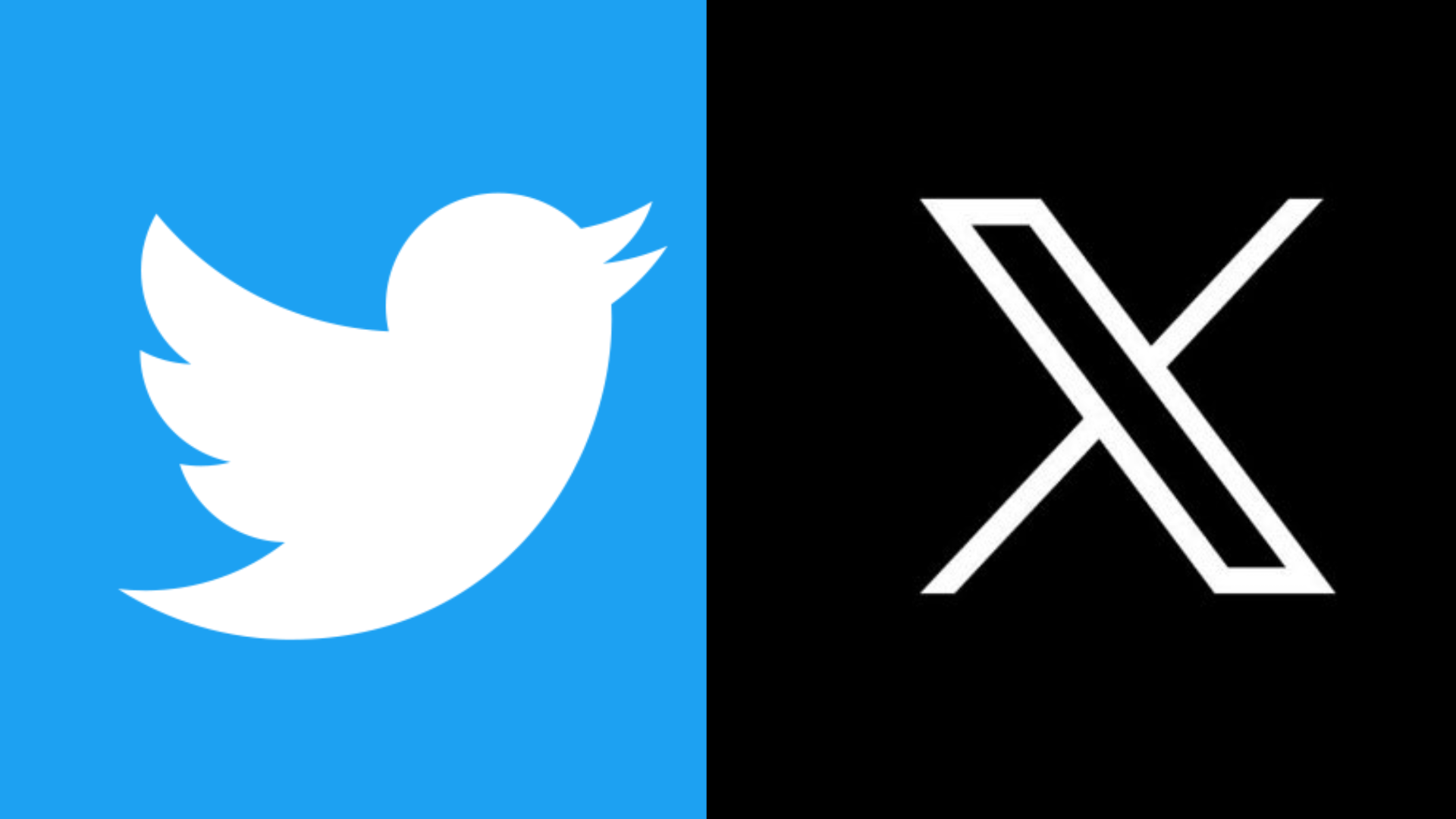 In favor of the change of name and logo of Twitter? There will be more