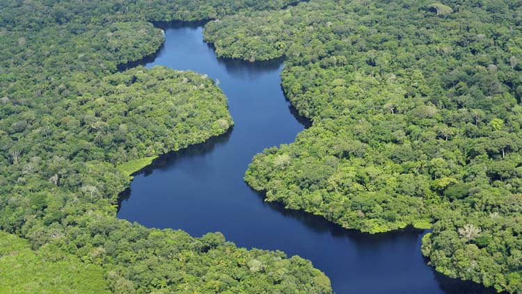 Llegó la sequía a la Amazonía brasileña