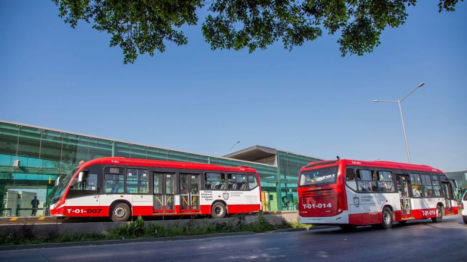 Más de 40 muralistas quieren pintar el SITT. I FOTO: Cortesía